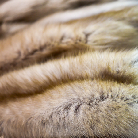 FUR